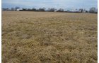 Property photo 43 - REAL ESTATE & FARM EQUIPMENT AUCTION IN ALLEN COUNTY, INDIANA